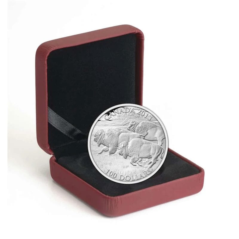 2013 $100 for $100 Bison Stampede Silver Coin - 9999