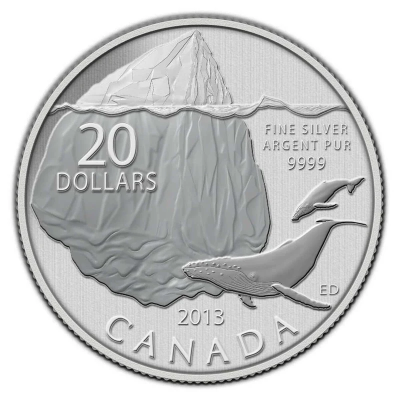 2013 $20 For $20 Iceberg And Whale Silver Coin - 9999
