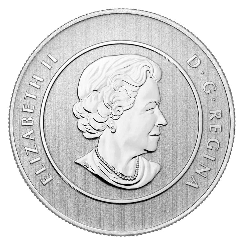 2014 $20 For $20 Summertime Silver Coin - 9999