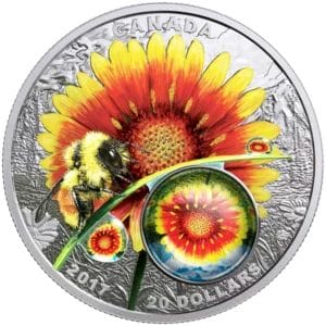 2017 $20 Mother Nature's Magnification: Beauty Under The Sun - Pure Silver Coin