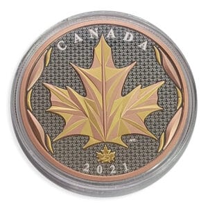 2021 $50 5 oz Pure Silver Coin - Maple Leaves In Motion (Dual Gold Plated)