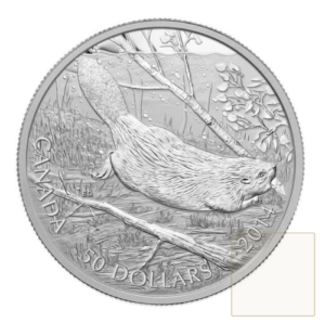 2014 $50 5 oz Swimming Beaver Silver Coin