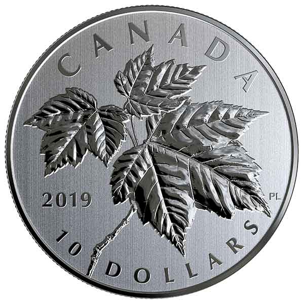 2019 $10 Maple Leaves Pure Silver Coin | O Canada Series