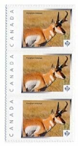 2013 $5 Pronghorn Antelope and Stamps