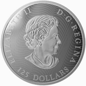 2015 $125 The Grey Fox Silver Coin Obverse