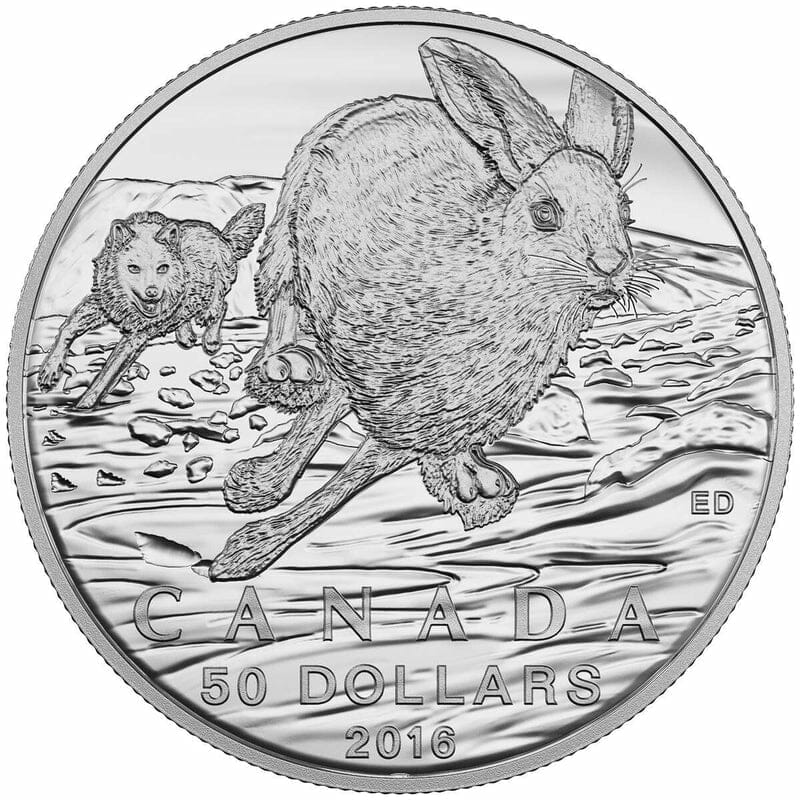 2016 $50 for $50 Hare Silver Proof Coin - 9999 Design and Symbolism: The reverse side of the coin showcases a breathtaking depiction of a hare in its natural habitat, surrounded by intricate flora. The fine engraving captures the hare's agility and grace, making it a true work of art for nature enthusiasts and collectors alike. The selective use of coloring adds depth and dimension to the design, making the hare come to life on the coin. On the obverse side, you'll find the effigy of Queen Elizabeth II, a nod to Canada's connection to the British monarchy. This elegant design, combined with the lifelike hare motif, makes this coin a sought-after collector's item. Limited Availability: One of the most appealing aspects of the 2016 $50 for $50 Hare Silver Proof Coin is its limited availability. With a restricted mintage, this coin is a rare gem that adds exclusivity to any collection. Owning one of these coins means owning a piece of Canadian wildlife and natural beauty. Collectible and Investment Value: Beyond its aesthetic appeal, this silver proof coin also holds significant collectible and investment value. Limited-edition coins like this often appreciate in value over time, making them a smart choice for collectors and investors alike. The use of .9999 fine silver ensures the coin's intrinsic value. Conclusion: The 2016 $50 for $50 Hare Silver Proof Coin is a stunning tribute to Canadian wildlife, combining artistic beauty with collectible and investment potential. Whether you're a dedicated numismatist, a nature lover, or someone looking to start a coin collection, this coin is a must-have. Don't miss the opportunity to own this exquisite piece of Canada's natural heritage; secure yours today and celebrate the grace of the hare in stunning silver.