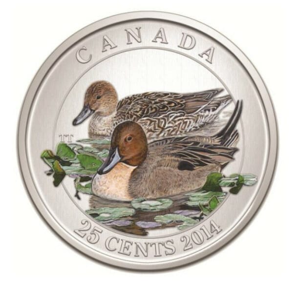 2014 25c Ducks of Canada: Pintail Duck Coloured Coin