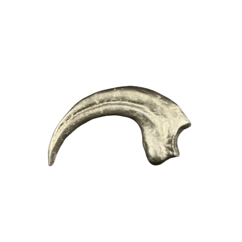 Raptor Claw Silver Figurine