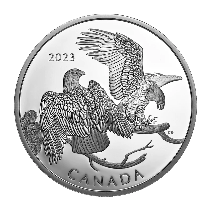 2023 $30 The Striking Bald Eagle Silver Coin - 9999